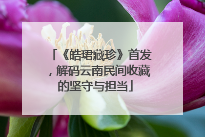 《皓珺藏珍》首发，解码云南民间收藏的坚守与担当