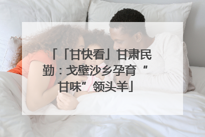 「甘快看」甘肃民勤：戈壁沙乡孕育“甘味”领头羊