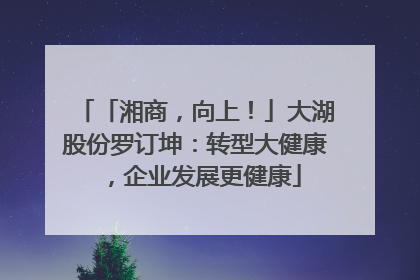 「湘商，向上！」大湖股份罗订坤：转型大健康，企业发展更健康