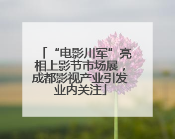 “电影川军”亮相上影节市场展，成都影视产业引发业内关注