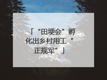 “田埂会”孵化出乡村用工“正规军”