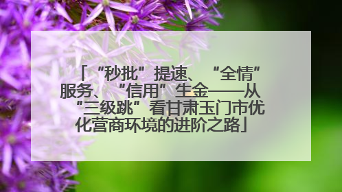 “秒批”提速、“全情”服务、“信用”生金——从“三级跳”看甘肃玉门市优化营商环境的进阶之路