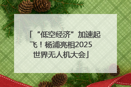 “低空经济”加速起飞！杨浦亮相2025世界无人机大会