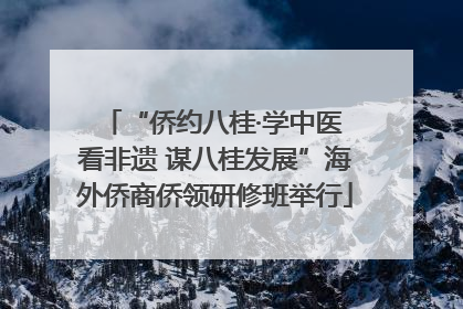 “侨约八桂·学中医 看非遗 谋八桂发展”海外侨商侨领研修班举行