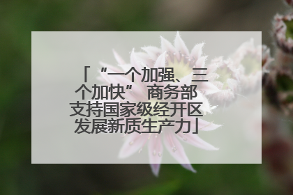 “一个加强、三个加快” 商务部支持国家级经开区发展新质生产力