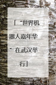 “世界机器人嘉年华”在武汉举行