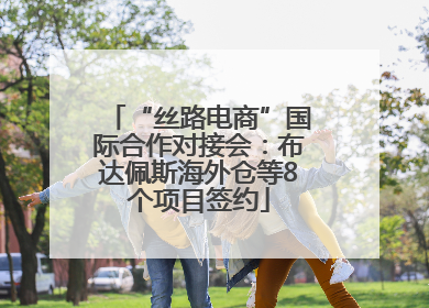 “丝路电商”国际合作对接会：布达佩斯海外仓等8个项目签约