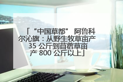 “中国草都” 阿鲁科尔沁旗：从野生牧草亩产 35 公斤到苜蓿草亩产 800 公斤以上