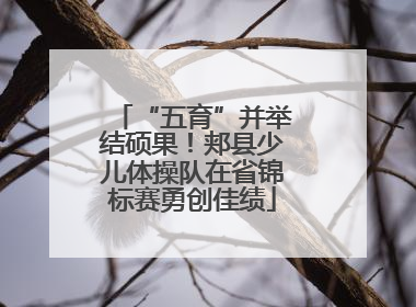 “五育”并举结硕果！郏县少儿体操队在省锦标赛勇创佳绩
