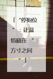 “停狗位 ”：让温情藏在 “方寸之间 ”