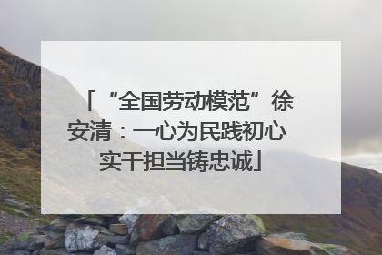 “全国劳动模范”徐安清：一心为民践初心 实干担当铸忠诚