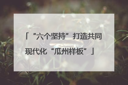“六个坚持”打造共同现代化“瓜州样板”