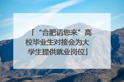 “合肥请您来”高校毕业生对接会为大学生提供就业岗位