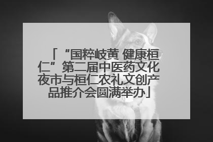 “国粹岐黄 健康桓仁”第二届中医药文化夜市与桓仁农礼文创产品推介会圆满举办