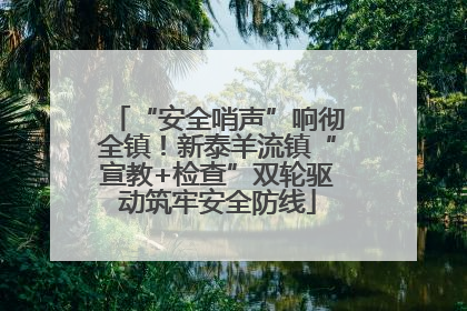 “安全哨声”响彻全镇！新泰羊流镇“宣教+检查”双轮驱动筑牢安全防线