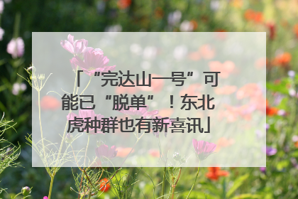 “完达山一号”可能已“脱单”！东北虎种群也有新喜讯