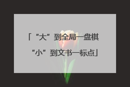 “大”到全局一盘棋 “小”到文书一标点