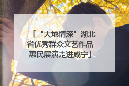 “大地情深”湖北省优秀群众文艺作品惠民展演走进咸宁
