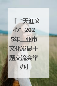 “天涯文心”2025年三亚市文化发展主题交流会举办