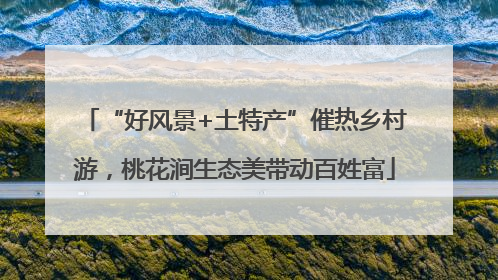 “好风景+土特产”催热乡村游，桃花涧生态美带动百姓富