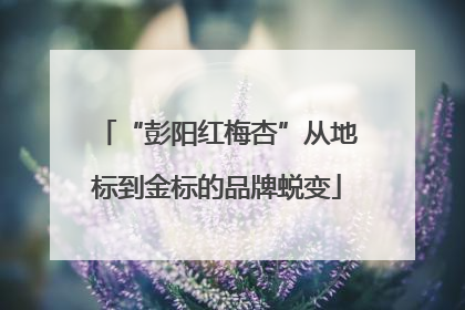 “彭阳红梅杏”从地标到金标的品牌蜕变