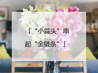 “小蒜头”串起“金链条”