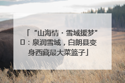 “山海情・雪域援梦”⑪：泉润雪域，白朗县变身西藏最大菜篮子