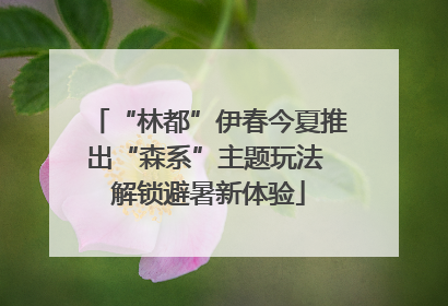 “林都”伊春今夏推出“森系”主题玩法 解锁避暑新体验