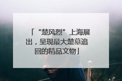 “楚风烈”上海展出，呈现最大楚墓追回的精品文物