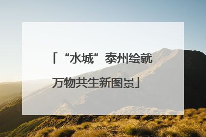 “水城”泰州绘就万物共生新图景