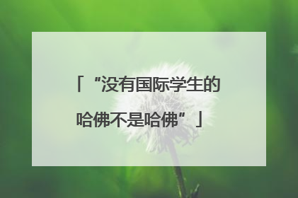 “没有国际学生的哈佛不是哈佛”