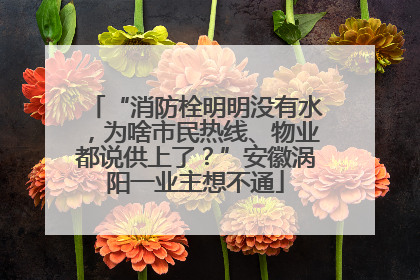 “消防栓明明没有水，为啥市民热线、物业都说供上了？”安徽涡阳一业主想不通