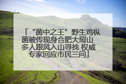 “菌中之王”野生鸡枞菌被传现身合肥大蜀山 多人跟风入山寻找 权威专家回应市民三问