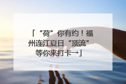 “荷”你有约！福州连江夏日“顶流”等你来打卡→