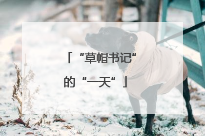 “草帽书记”的“一天”