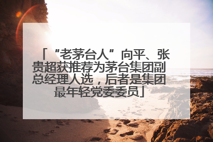 “老茅台人”向平、张贵超获推荐为茅台集团副总经理人选，后者是集团最年轻党委委员