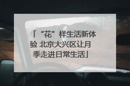 “花”样生活新体验 北京大兴区让月季走进日常生活