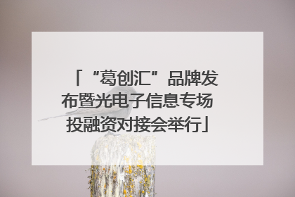“葛创汇”品牌发布暨光电子信息专场投融资对接会举行