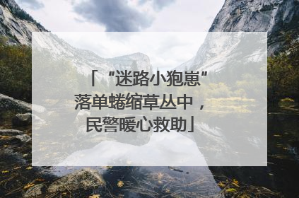 “迷路小狍崽”落单蜷缩草丛中，民警暖心救助