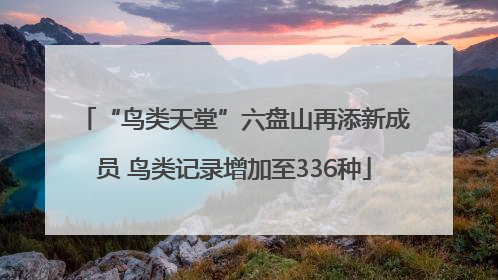 “鸟类天堂”六盘山再添新成员 鸟类记录增加至336种