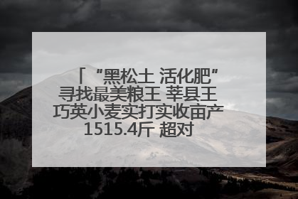 “黑松土 活化肥”寻找最美粮王 莘县王巧英小麦实打实收亩产1515.4斤 超对照田144斤！