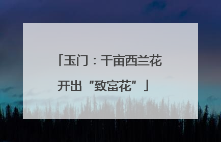 玉门：千亩西兰花开出“致富花”