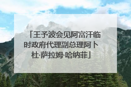 王予波会见阿富汗临时政府代理副总理阿卜杜·萨拉姆·哈纳菲