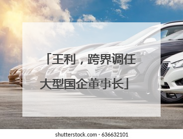 王利，跨界调任大型国企董事长
