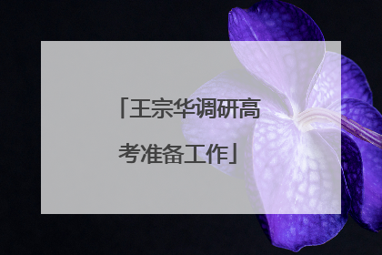 王宗华调研高考准备工作