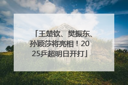 王楚钦、樊振东、孙颖莎将亮相！2025乒超明日开打