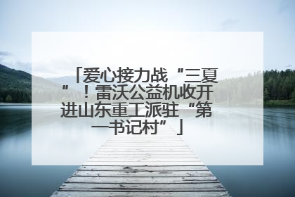 爱心接力战“三夏”！雷沃公益机收开进山东重工派驻“第一书记村”
