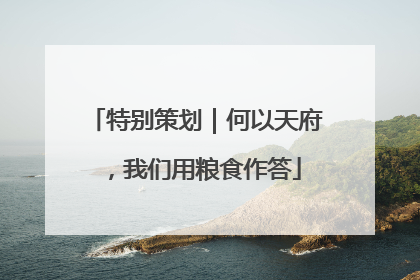 特别策划｜何以天府，我们用粮食作答