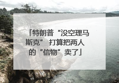 特朗普“没空理马斯克” 打算把两人的“信物”卖了