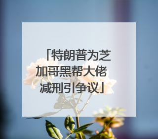 特朗普为芝加哥黑帮大佬减刑引争议